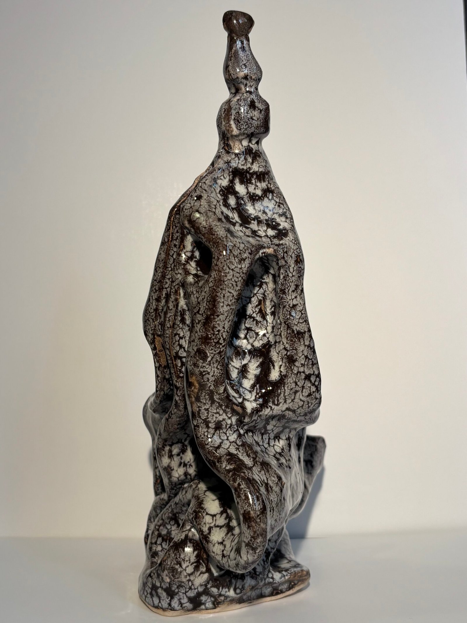 de la serie "Metamorfosis2"