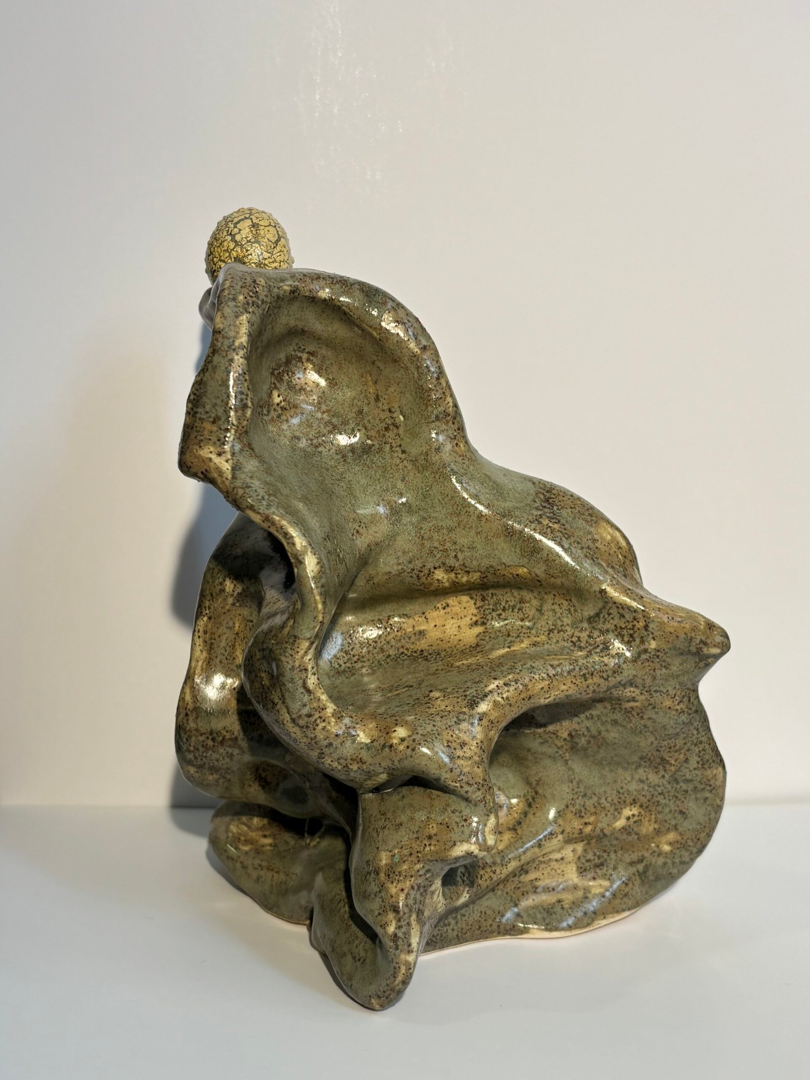 de la serie "Metamorfosis1"