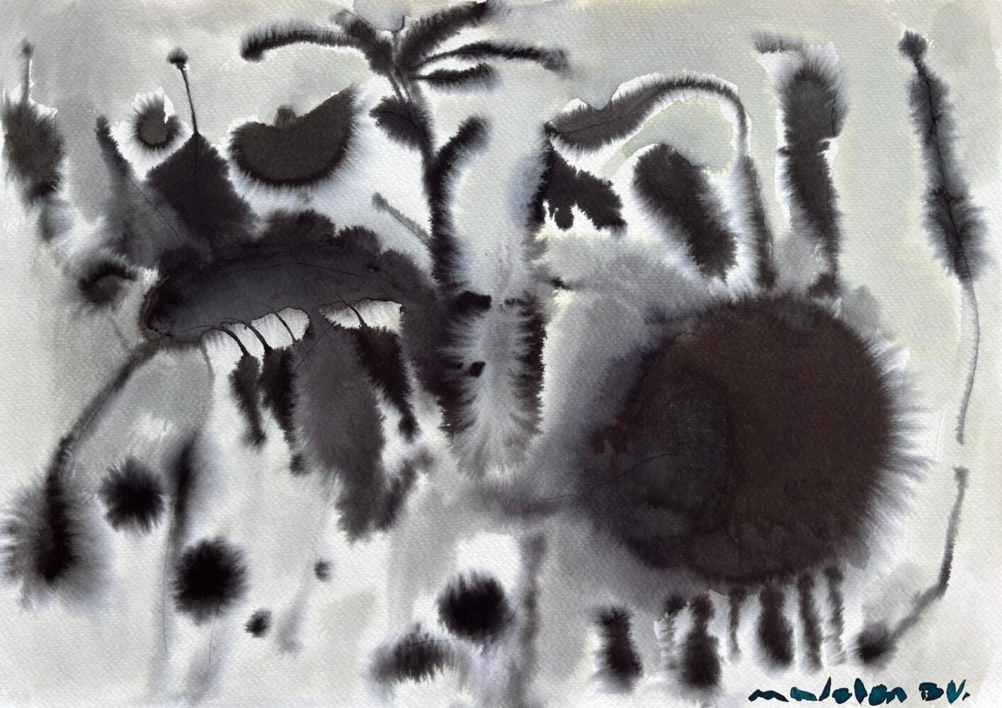 De la serie "Animales Nocturnos"